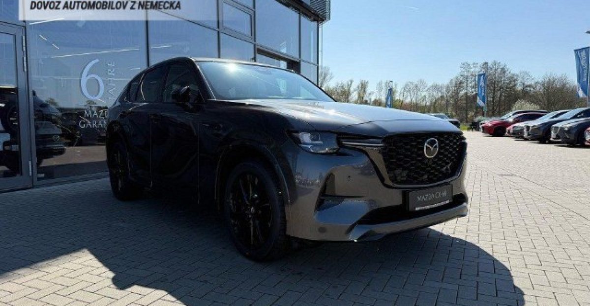 5259622-6-1-0-nc-640